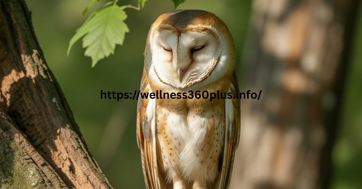A cute baby owl sleeping peacefully on a tree branch with its eyes closed.